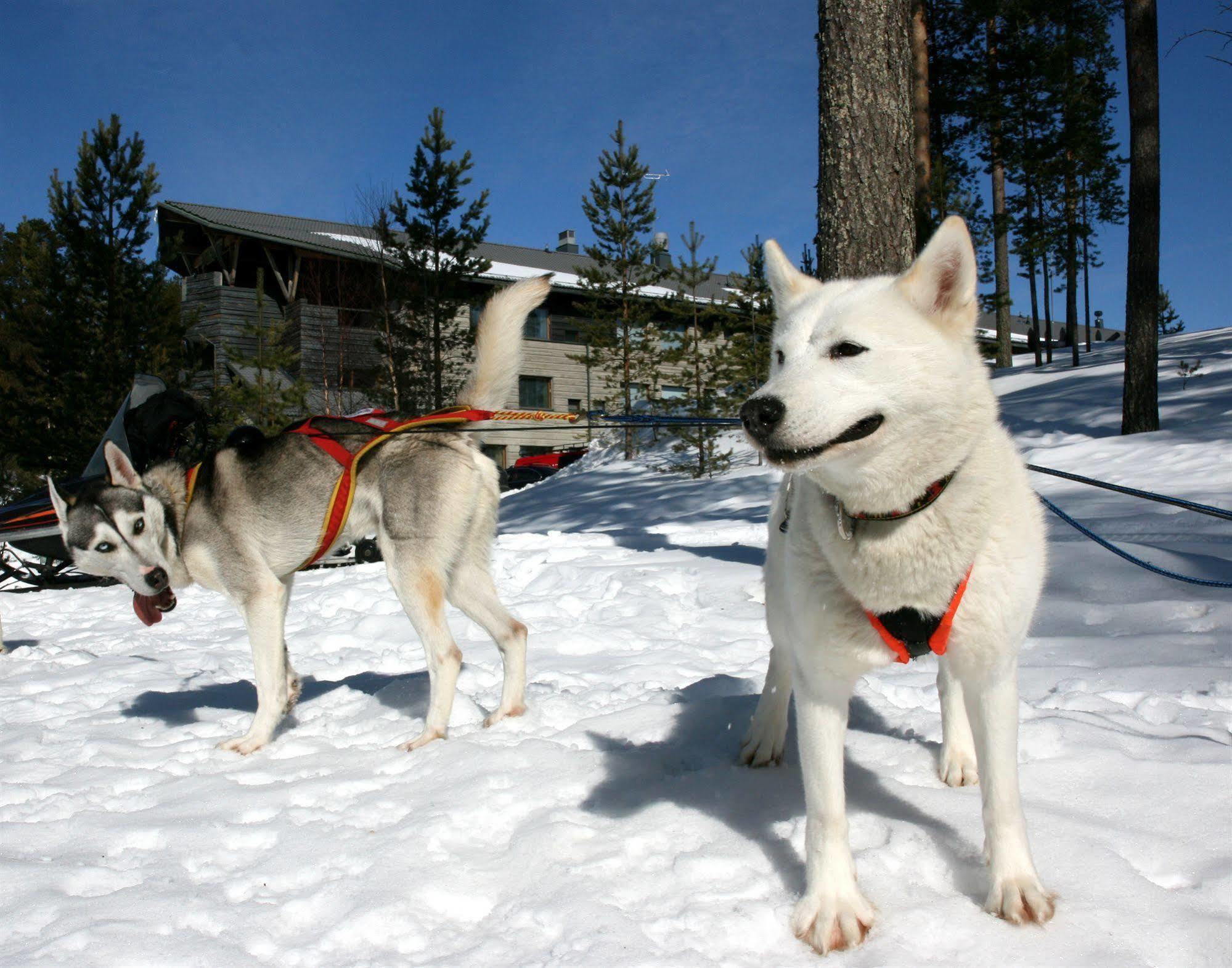 Hotel Kalevala Kuhmo Eksteriør bilde